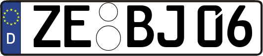 ZE-BJ06