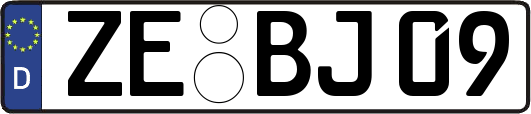 ZE-BJ09