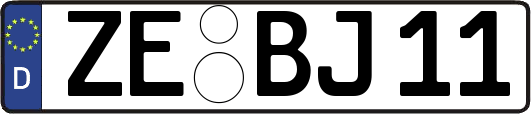 ZE-BJ11