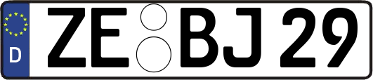 ZE-BJ29