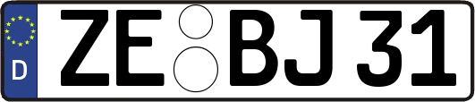 ZE-BJ31