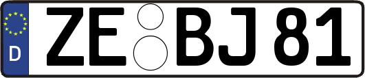 ZE-BJ81