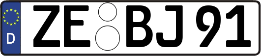 ZE-BJ91