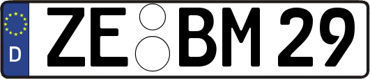 ZE-BM29