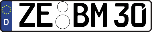 ZE-BM30