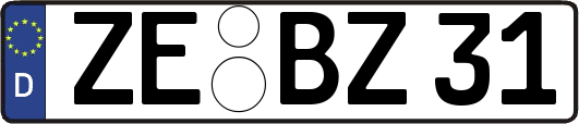 ZE-BZ31