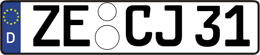 ZE-CJ31