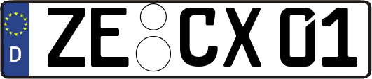 ZE-CX01