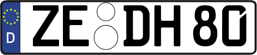 ZE-DH80