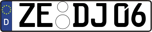 ZE-DJ06