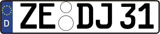 ZE-DJ31