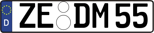 ZE-DM55
