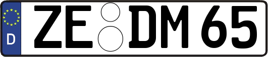 ZE-DM65