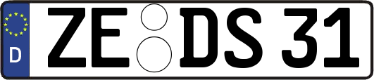 ZE-DS31