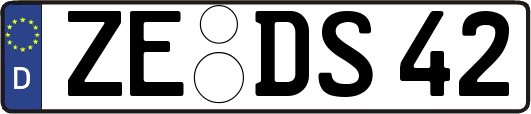 ZE-DS42