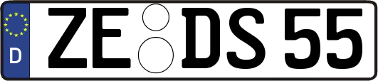 ZE-DS55