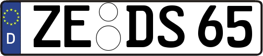 ZE-DS65