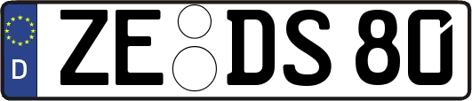 ZE-DS80