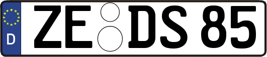 ZE-DS85