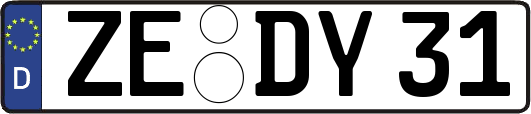 ZE-DY31