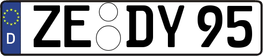 ZE-DY95