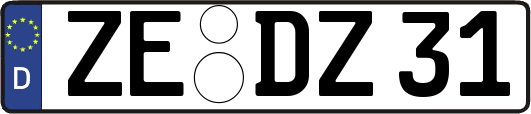 ZE-DZ31