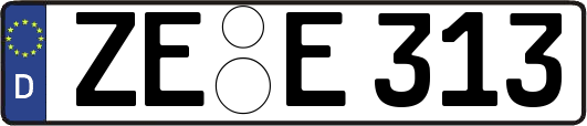 ZE-E313