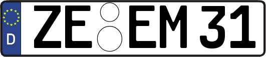 ZE-EM31