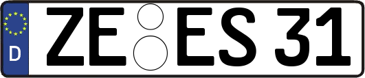 ZE-ES31