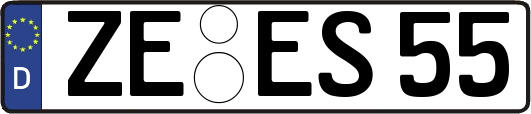 ZE-ES55