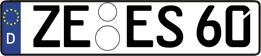 ZE-ES60