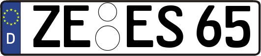 ZE-ES65