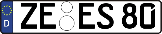ZE-ES80