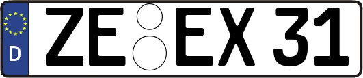ZE-EX31