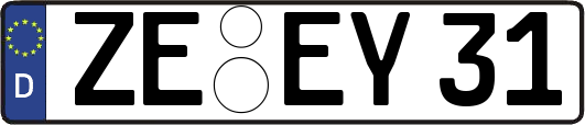 ZE-EY31