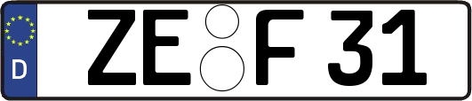 ZE-F31