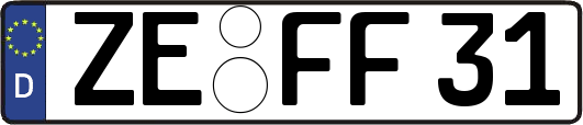 ZE-FF31