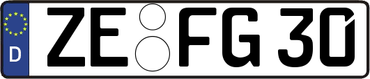 ZE-FG30