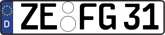 ZE-FG31