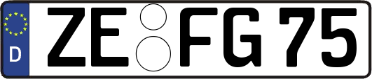 ZE-FG75