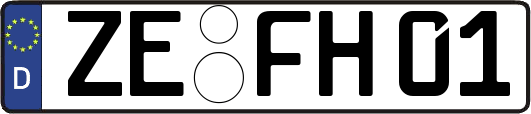 ZE-FH01