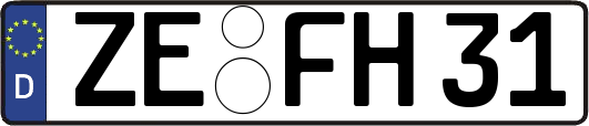 ZE-FH31