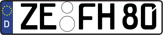 ZE-FH80