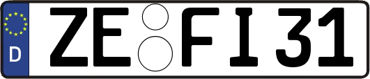 ZE-FI31