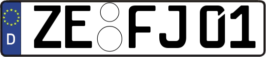 ZE-FJ01