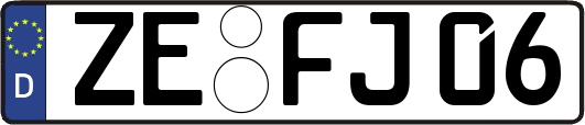 ZE-FJ06