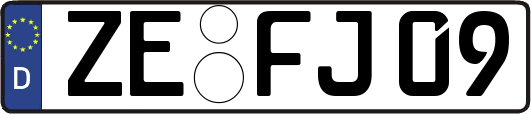 ZE-FJ09