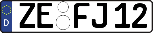 ZE-FJ12