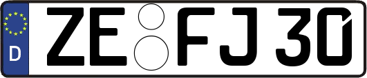 ZE-FJ30