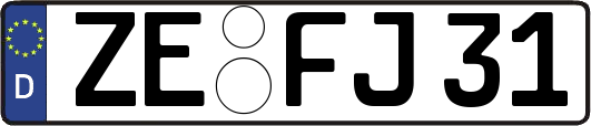 ZE-FJ31